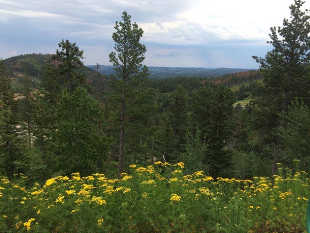 Black-Hills-SD/640x480_Terry Peak.jpg